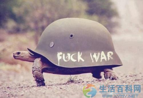 世界停火日是幾月幾日?世界停火日的發起人是誰