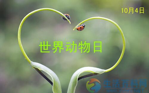 世界動物日是幾月幾日？公歷10月4日是什么节日