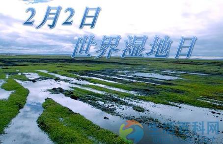 2月2日什麼節日？世界濕地日日期與意義