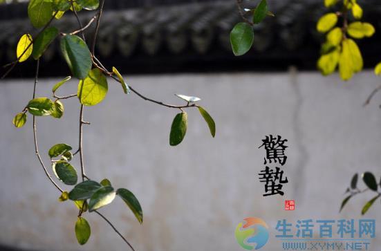 驚蟄是什麼時候?二十四節氣之驚蟄的由來與含義