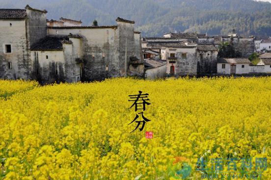 春分時間與由來：二十四節氣春分的含義與文化