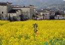 春分時間與由來：二十四節氣春分的含義與文化