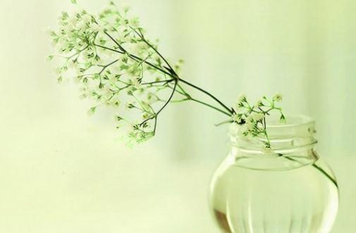 為什麼有幽默感的人更易獲得成功？解析幽默的四大助益