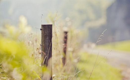 產生職業倦怠症怎麼辦？症狀原因與改善方法